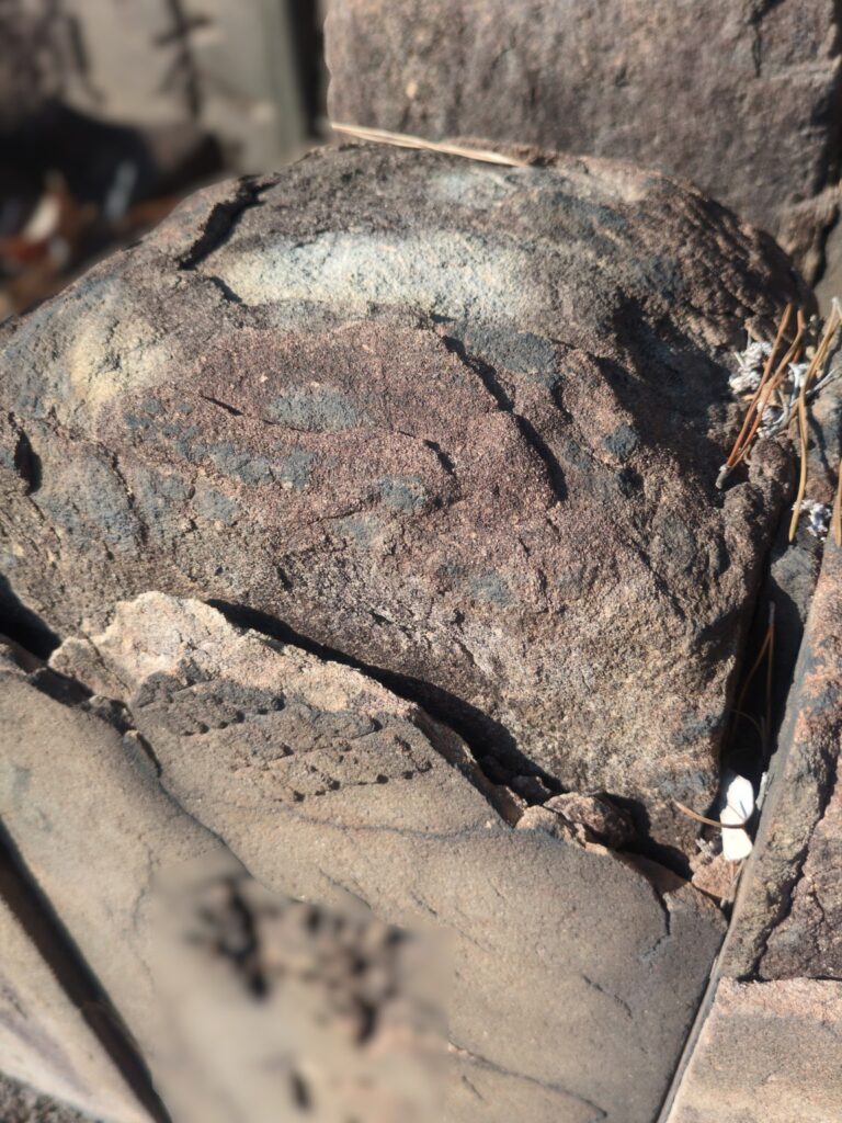 表面が剝がれた墓石